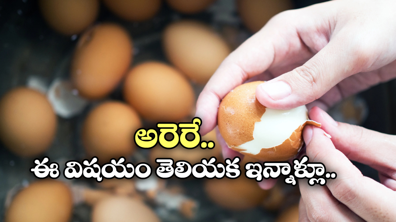 Peel Boiled Eggs: ఉడకబెట్టిన గుడ్డు పెంకు ఈజీగా ఊడి రావాలంటే ఇలా చెయ్యండి!