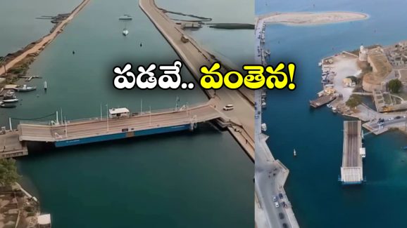 Floating Bridge: భలే.. ఈ పడవ వంతెనలా మారిపోతుంది, ఈ అద్భుతం ఎక్కడో తెలుసా?