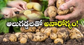 Eating Potatoes: బంగాళ దుంపలతో ఇన్ని అనారోగ్యాలా? తప్పు చేస్తున్నామా?