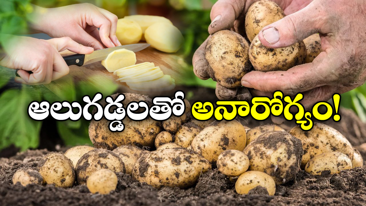 Eating Potatoes: బంగాళ దుంపలతో ఇన్ని అనారోగ్యాలా? తప్పు చేస్తున్నామా?