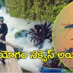 GHMC: జీహెచ్‌ఎంసీ యాప్‌.. దోమల నివారణకు కొత్త సేవలు