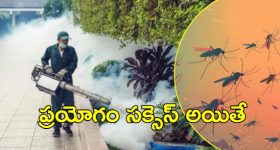 GHMC: జీహెచ్‌ఎంసీ యాప్‌.. దోమల నివారణకు కొత్త సేవలు