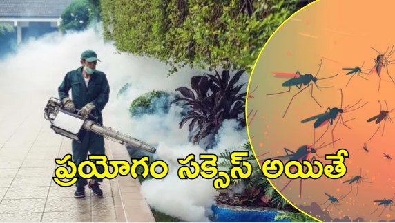 GHMC: జీహెచ్‌ఎంసీ యాప్‌.. దోమల నివారణకు కొత్త సేవలు