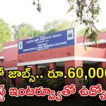 ICAR Recruitment: డిగ్రీ అర్హతతో ICARలో ఉద్యోగాలు.. ఇంటర్వ్యూతోనే జాబ్ భయ్యా.. జీతమైతే రూ.60,000