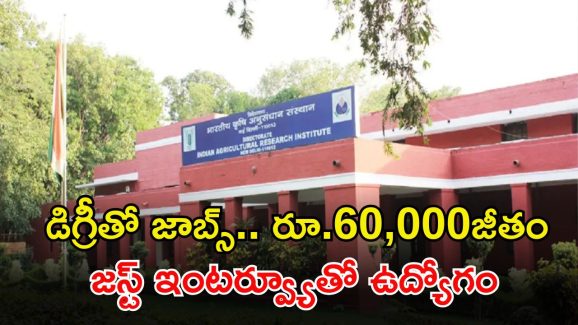 ICAR Recruitment: డిగ్రీ అర్హతతో ICARలో ఉద్యోగాలు.. ఇంటర్వ్యూతోనే జాబ్ భయ్యా.. జీతమైతే రూ.60,000