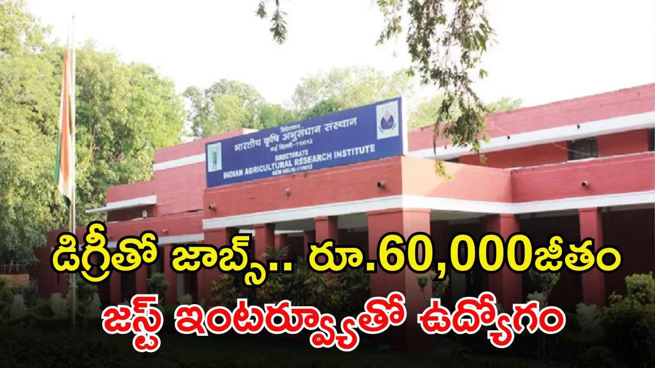 ICAR Recruitment: డిగ్రీ అర్హతతో ICARలో ఉద్యోగాలు.. ఇంటర్వ్యూతోనే జాబ్ భయ్యా.. జీతమైతే రూ.60,000