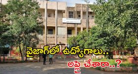 Rushikonda Beach : రుషికొండ బీచ్ లో మళ్లీ ఎగరనున్న బ్లూ ఫ్లాగ్ - ఎలా కోల్పోయింది? ఎలా తిరిగొచ్చింది?