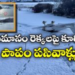 Alaska Lake Plane Crash: కుప్పకూలిన విమానం.. గడ్డకట్టే చలిలో చిన్నారుల నరయాతన!