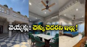 Zero Cement House: సిమెంట్ వాడకుండానే ఇల్లు కట్టేశారు.. ఎలాగో తెలిస్తే దిమ్మతిరుగుద్ది!