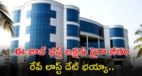 IND VS NZ Final: న్యూజిలాండ్ కు చుక్కలు చూపించిన కుల్దీప్...టీమిండియా టార్గెట్ ఎంతంటే ?