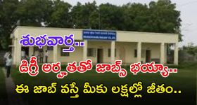 BDRCL Recruitment: డిగ్రీ అర్హతతో జాబ్స్ భయ్యా.. ఈ ఉద్యోగం నీకు వస్తే జీతం రూ.2,00,000