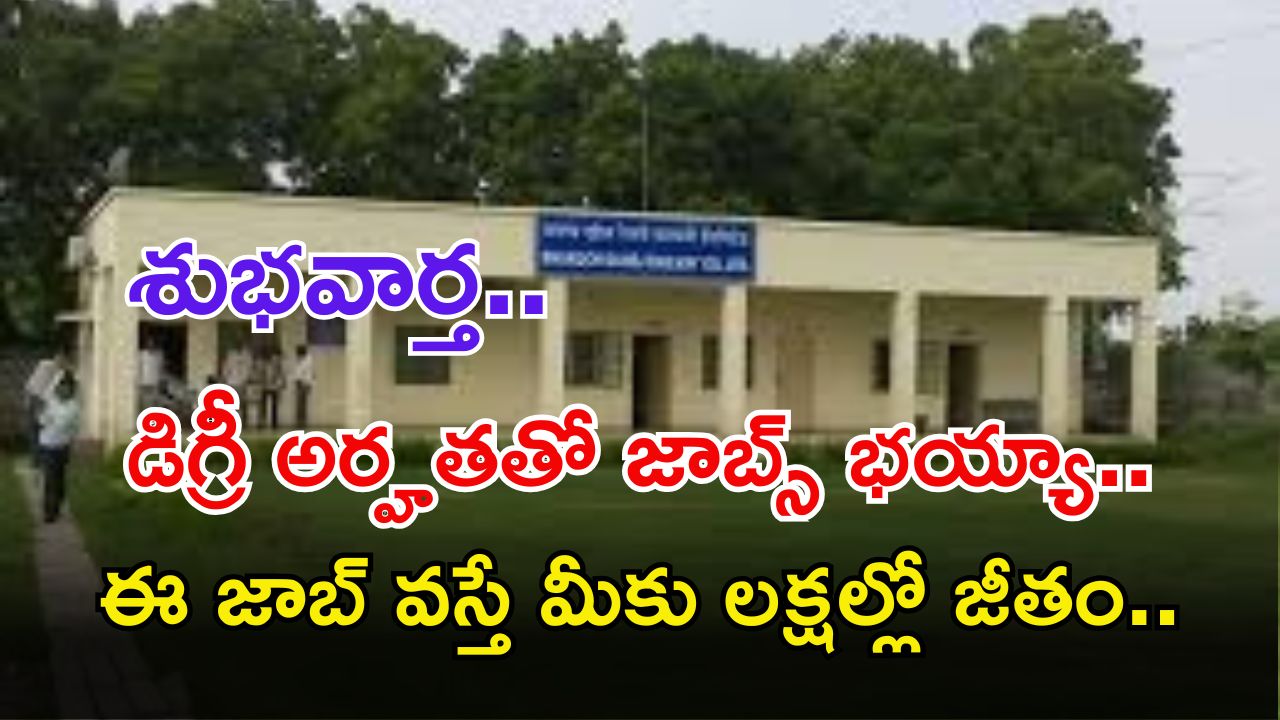 BDRCL Recruitment: డిగ్రీ అర్హతతో జాబ్స్ భయ్యా.. ఈ ఉద్యోగం నీకు వస్తే జీతం రూ.2,00,000