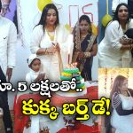 Dog’s Birthday Party:  రూ.40 వేల కేక్, 300 మందికి పార్టీ.. కళ్లు చెదిరేలా కుక్క బర్త్ డే సెలబ్రేషన్స్!