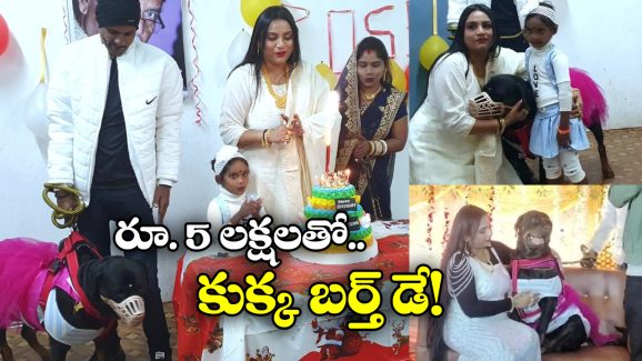 Dog’s Birthday Party:  రూ.40 వేల కేక్, 300 మందికి పార్టీ.. కళ్లు చెదిరేలా కుక్క బర్త్ డే సెలబ్రేషన్స్!
