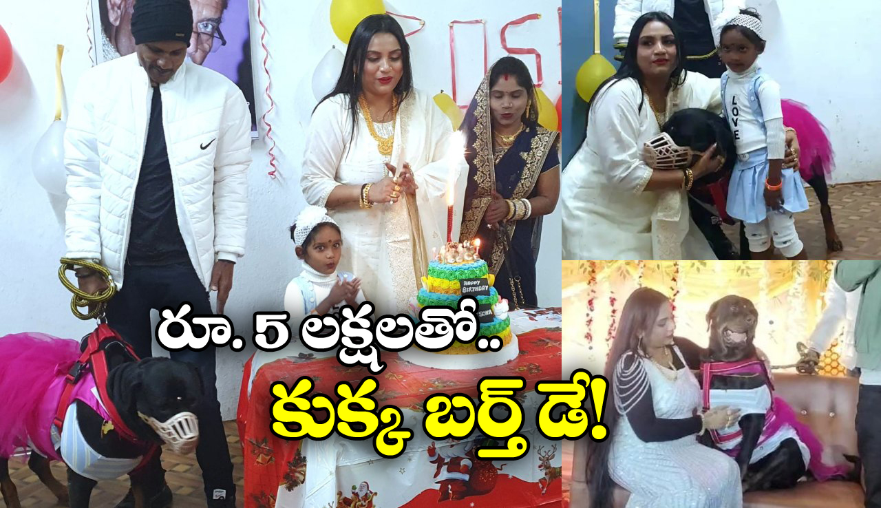 Dog’s Birthday Party:  రూ.40 వేల కేక్, 300 మందికి పార్టీ.. కళ్లు చెదిరేలా కుక్క బర్త్ డే సెలబ్రేషన్స్!