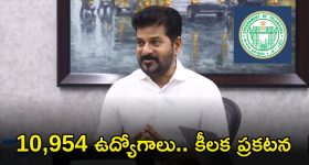 Jobs: రాష్ట్రంలో 10,954 గవర్నమెంట్ జాబ్స్.. ప్రభుత్వం కీలక ప్రకటన