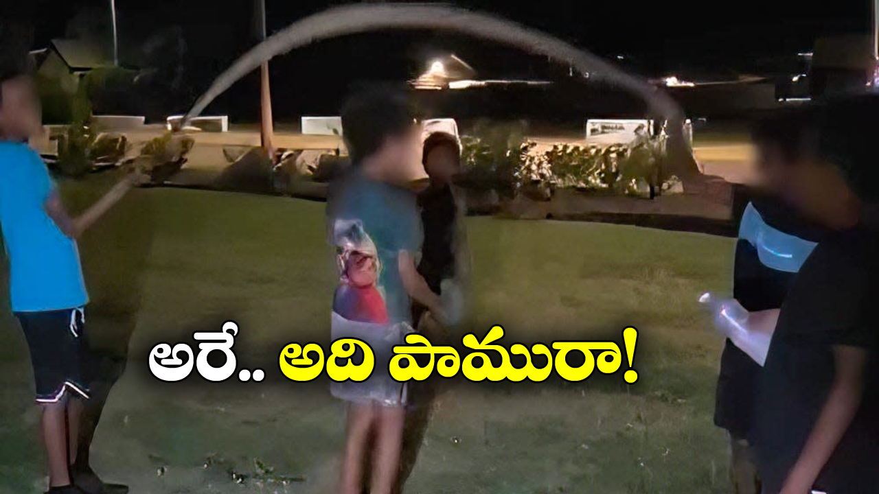 Viral Video: పాముతో తాడట.. కరిస్తే పోతార్రోయ్!