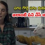 OTT Movie : పిల్ల పుట్టి చనిపోయిందని గొర్రెను పెంచుకునే పేరెంట్స్… క్లైమాక్స్ ట్విస్ట్ మాత్రం జబర్దస్త్