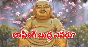 MLA Rajagopal Reddy: నాకు ఆ పదవే కావాలి.. మనసులో మాట చెప్పేసిన రాజగోపాల్ రెడ్డి