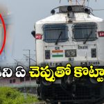 Passenger Pissing: రైల్లో అందరూ చూస్తుండగానే పాస్ పోసిన ప్రయాణీకుడు, మరీ ఘోరం భయ్యా!
