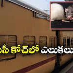 Viral Video: ఏసీ కోచ్ లోకి అడుగు పెట్టిన ప్రయాణీకుడికి దిమ్మతిరిగే షాక్.. నెట్టింట వీడియో వైరల్!