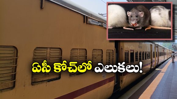 Viral Video: ఏసీ కోచ్ లోకి అడుగు పెట్టిన ప్రయాణీకుడికి దిమ్మతిరిగే షాక్.. నెట్టింట వీడియో వైరల్!