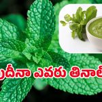 Pudina Chutney: పుదీనా చట్నీ తింటే హైబీపీ తగ్గుతుందా? దీనిలో నిజమెంత?