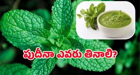 Pudina Chutney: పుదీనా చట్నీ తింటే హైబీపీ తగ్గుతుందా? దీనిలో నిజమెంత?