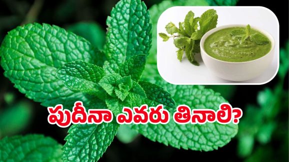 Pudina Chutney: పుదీనా చట్నీ తింటే హైబీపీ తగ్గుతుందా? దీనిలో నిజమెంత?