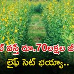 NABARD Recruitment: డిగ్రీ అర్హతతో నాబార్డులో ఉద్యోగాలు.. జీతం ఏడాదికి రూ.70లక్షలు.. ఇంకెందుకు ఆలస్యం