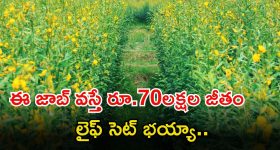 Sikandar: సల్మాన్ మెడకు కాపీ రైట్ కేసు.. ఇక 'సికిందర్' విడుదల అయ్యేనా.?