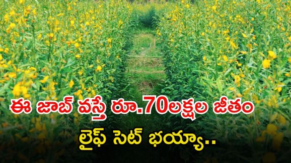 NABARD Recruitment: డిగ్రీ అర్హతతో నాబార్డులో ఉద్యోగాలు.. జీతం ఏడాదికి రూ.70లక్షలు.. ఇంకెందుకు ఆలస్యం