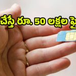 New SIM Card Rules: కొత్త సిమ్ కార్డ్ రూల్స్.. ఇలా చేశారో రూ. 50 లక్షల ఫైన్