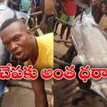 Blue Marlin Fish: అయ్య బాబోయ్.. ఆ చేప ధర 22 కోట్లా? ఇదీ అసలు నిజం!