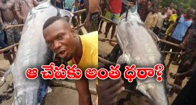 NTR New Add: ఫ్యాన్స్ ని హర్ట్ చేసిన ఎన్టీఆర్ కొత్త లుక్.. అక్షయ్ కుమార్ బెటర్ అంటూ..