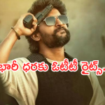 HIT 3 Movie : ‘హిట్ 3’ మూవీకి భారీ ధరకు ఓటీటీ డీల్ ఫిక్స్.. ఆ ఓటీటీలోనే..?