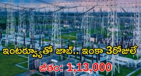 PGCIL Recruitment: ఈ ఉద్యోగం వస్తే లక్షల్లో జీతం భయ్యా.. జస్ట్ ఈ క్వాలిఫికేషన్ ఉంటే చాలు.. దరఖాస్తుకు ఇంకా మూడు రోజులే..