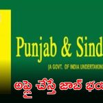 Bank Jobs: పంజాబ్ అండ్ సింధ్ బ్యాంక్‌లో ఉద్యోగాలు.. ఎగ్జామ్ లేకుండానే జాబ్.. అప్లై చేస్తే చాలు..