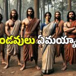 Mahabharat: మహాభారత యుద్ధం తర్వాత పాండవులు, ద్రౌపది ఏమయ్యారు? వారికి ఏం జరిగింది?