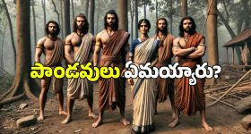 Mahabharat: మహాభారత యుద్ధం తర్వాత పాండవులు, ద్రౌపది ఏమయ్యారు? వారికి ఏం జరిగింది?