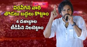 Pawan Kalyan: అసెంబ్లీ గేటు కూడా తాకలేవు అన్నారు.. 21 మంది ఎమ్మెల్యేలతో అడుగుపెట్టాం - వైసీపీకి పవన్ చురకలు