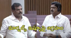 Botsa Vs Payyavula: శాసనమండలిలో గందరగోళం..పోడియం చుట్టూ మార్షల్స్‌, వైసీపీ వాకౌట్