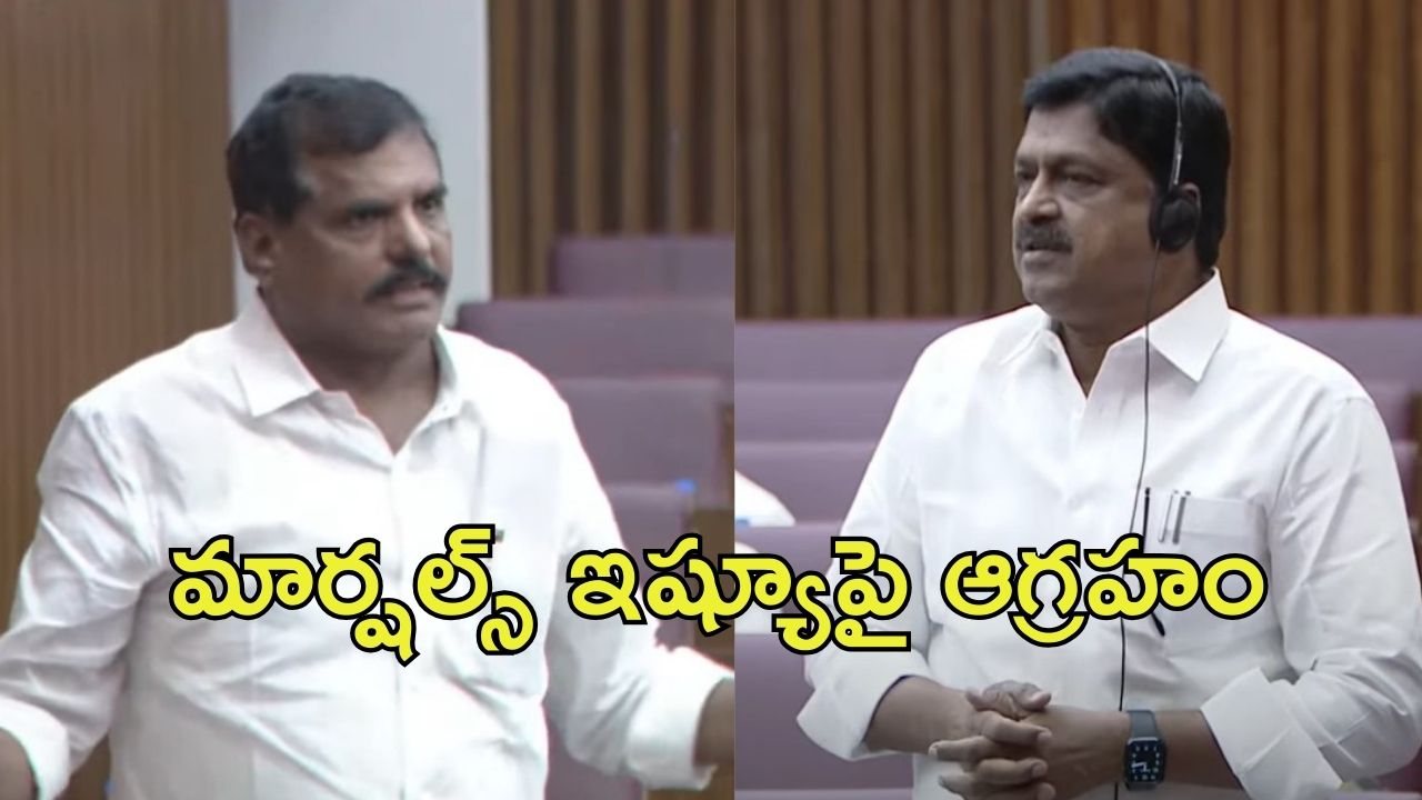 Botsa Vs Payyavula: శాసనమండలిలో గందరగోళం..పోడియం చుట్టూ మార్షల్స్‌, వైసీపీ వాకౌట్