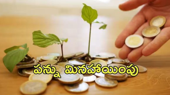 Tax Benefit Schemes: పన్ను మినహాయింపు పథకాలు ఇవే