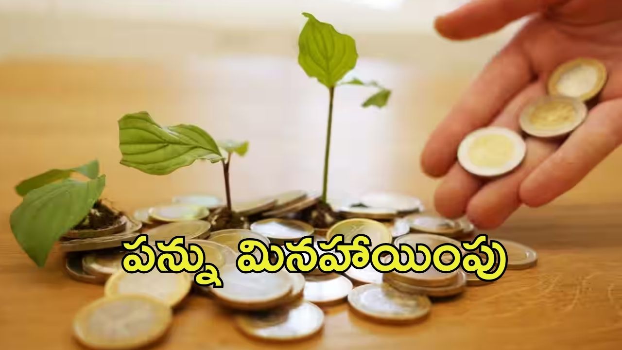 Tax Benefit Schemes: పన్ను మినహాయింపు పథకాలు ఇవే