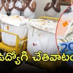 TTD Employee Theft: శ్రీవారి సొమ్ముకి కన్నం వేశాడు, ఆపై వేటు.. ఎక్కడ?