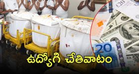 IT raids On Sri Chaitanya: అప్పుడు రూ.11 కోట్లు.. ఇప్పుడు రూ.100 కోట్లు..? శ్రీచైతన్యలో నగదు కలకల