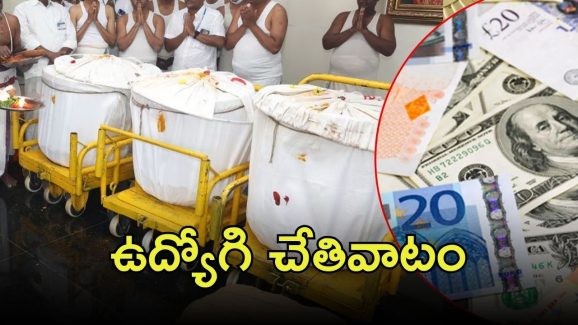 TTD Employee Theft: శ్రీవారి సొమ్ముకి కన్నం వేశాడు, ఆపై వేటు.. ఎక్కడ?