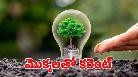Electricity From Plants : మీ గార్డెన్‌లోని మొక్కలతో కరెంట్ పొందొచ్చు.. ఎలాగో తెలుసా?