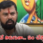 MLA Rajasingh: నేను అంతే.. ఎవరైనా నా ఫ్యామిలీ జోలికి వస్తే మాత్రం.. ఎమ్మెల్యే రాజాసింగ్ సంచలన వ్యాఖ్యలు
